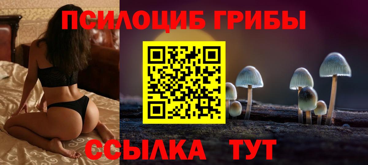 Гай  даркнет сайт  Вход с VPN  Галлюциногенные грибы мухоморы 