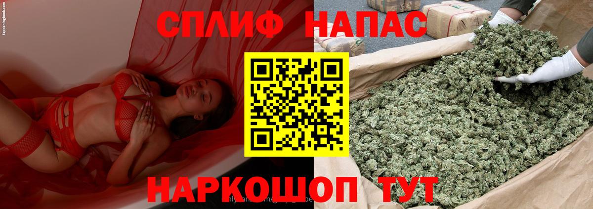 Бошки Шишки AK-47  Вход с VPN  Гай  Бошки марихуана план 