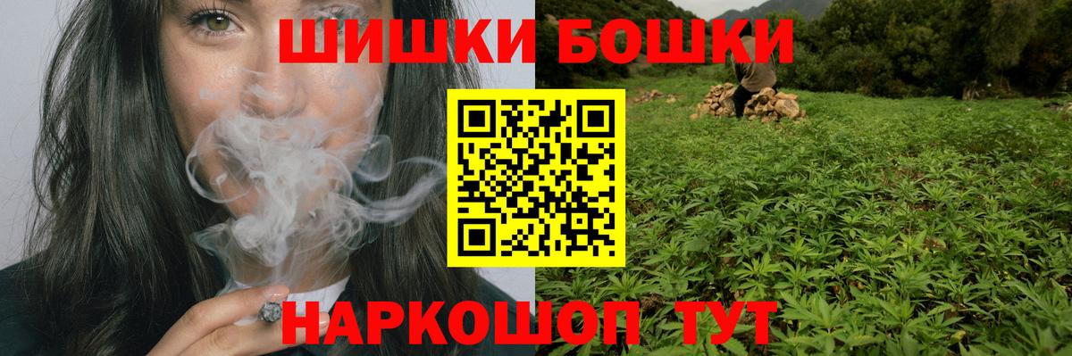 Каннабис сатива Гай